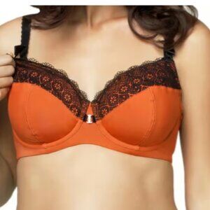 NEW Cake Lingerie Ginger Macaroon Nursing Bra Multiple Sizes